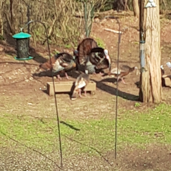 EVERYTHING ON SALE MEET THE POSHER.... - Picture 1 of 1